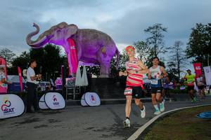 BIB: 
                            <button type="button" onclick="openModal(26529508)" class="btn btn-primary btn-sm float-right btn-popup" data-toggle="modal" data-target=".modal-high-quality">
                        <i class="fas fa-shopping-cart"></i> Add to Cart
                    </button>
                                            <button type="button" onclick="isThisMe(26529508, true)" class="btn btn-success btn-sm float-right btn-popup btn-isme hidden" data-toggle="tooltip" data-placement="bottom" title="นี่คือรูปของคุณใช่ไหม คลิกที่นี่เพื่อเอาเข้าอัลบั้ม">
                        <i class="fas fa-plus"></i> Add to album
                    </button>
                    <button type="button" onclick="isThisMe(26529508, false)" class="btn btn-warning btn-sm float-right btn-popup btn-isnotme hidden">
                        <i class="fas fa-ban"></i> Remove from album
                    </button>